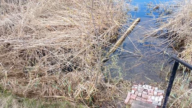 Прогулка по лугу у речки 11-04-2026 часть 1