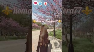 👑💥Новая Цыганская 💥 Полька 💥👑⚜️типа 2026⚜️ Тэ Жан тэ почелэн 🎵👌 Не забудьте подписаться ❤️.