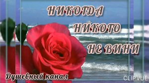 НИКОГДА НИКОГО НЕ ВИНИ