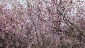 Жизнь продолжается!