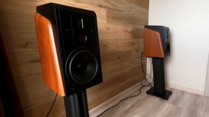 Наслаждение музыкой с правильной акустичечкой системой SWAN M500