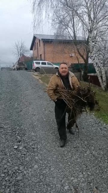 весенний субботник на улице