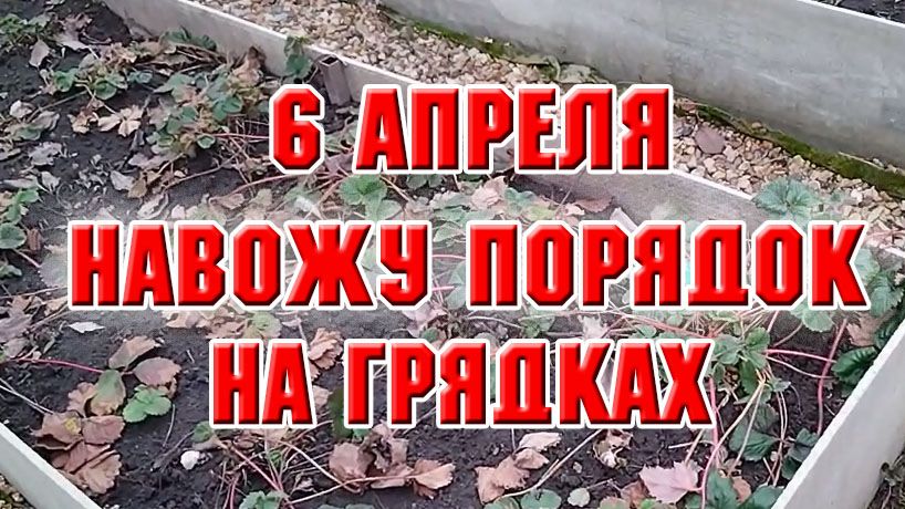 6 апреля. Работаю в огороде на грядках