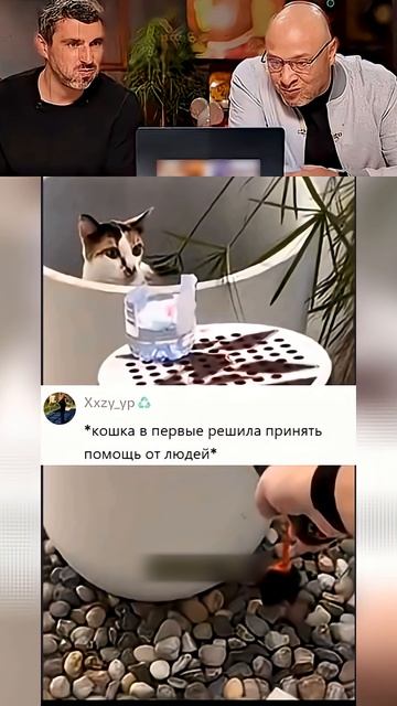 СМЕШНО И ТОЧКА