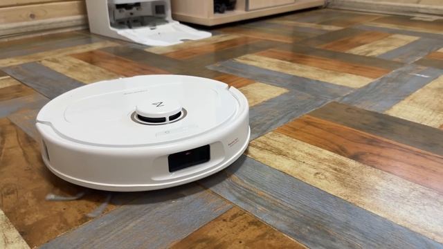 РЫСИ ПРОХОДЯТ ЗЕРКАЛЬНЫЙ ТЕСТ / Реакция свиньи на зеркало / Обзор робота-пылесоса Roborock Qrevo C