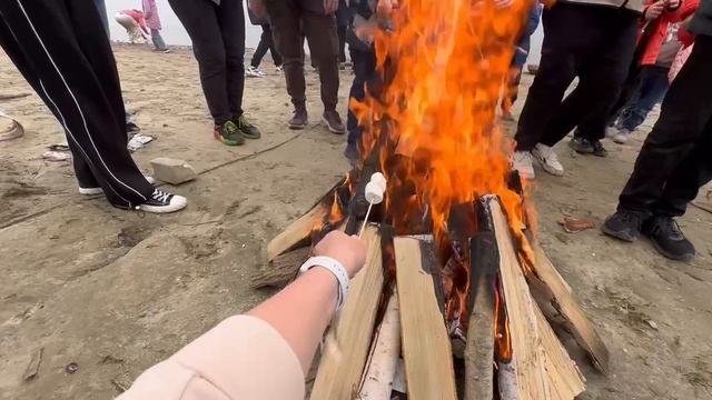 Поход к реке всей школой / пикник классом / 3а и 8а класс 2024 год маоу сош 2 Тобольск /