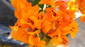 С добрым утром!