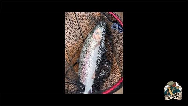 Зарыбление суббота 11 апреля