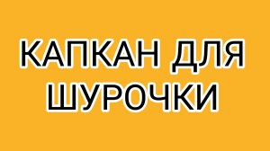 Каток запущен, ССаня!