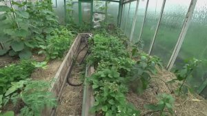 Влог от 21.07.2022