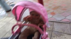 прогулка с реборном