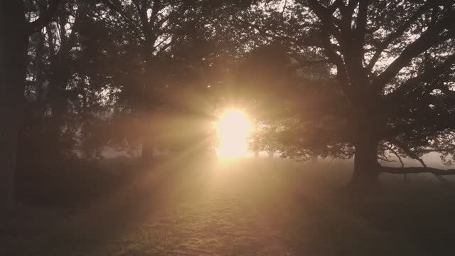 Христос воскрес