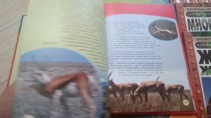 Новые книги 🔥 серийные энциклопедии по 50 рублей!!! Распродажа!!! Покупки #19