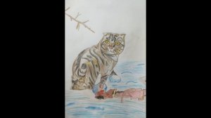 Мои рисунки Соня.mp4