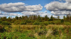 Прогулялся