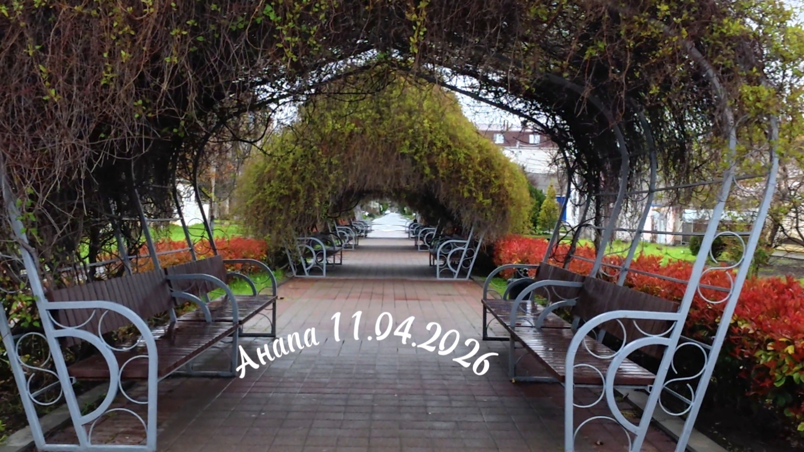 Анапа 11.04.2026