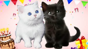 МОИ МАЛЕНЬКИЕ КОТЯТА. Сборник старых видео про Марфу и Никису.