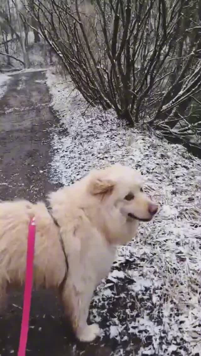 Ричик напоминает 🦫