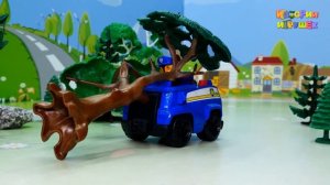 Видео с игрушками Щенячий Патруль для детей - Мальчишки!