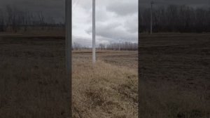 участок, дорога, в конце как птички поют и пробегает заяц