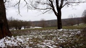 12 апреля. Беды с домовым. Поверья, приметы, обычаи