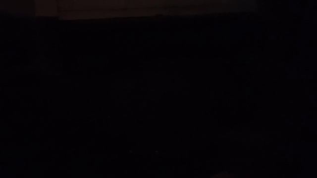 Мы идём гулять с собакой!  18-ноя-2024