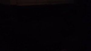 Мы идём гулять с собакой! | 18-ноя-2024