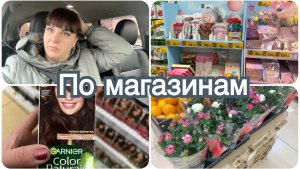 По магазинам. На даче снег растаял и появились первые ростки.