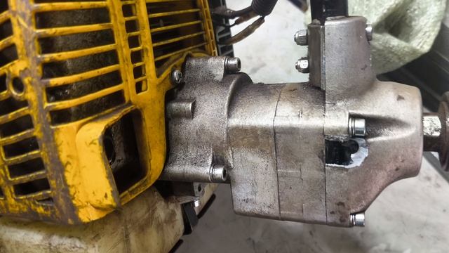 Что ты такое?!