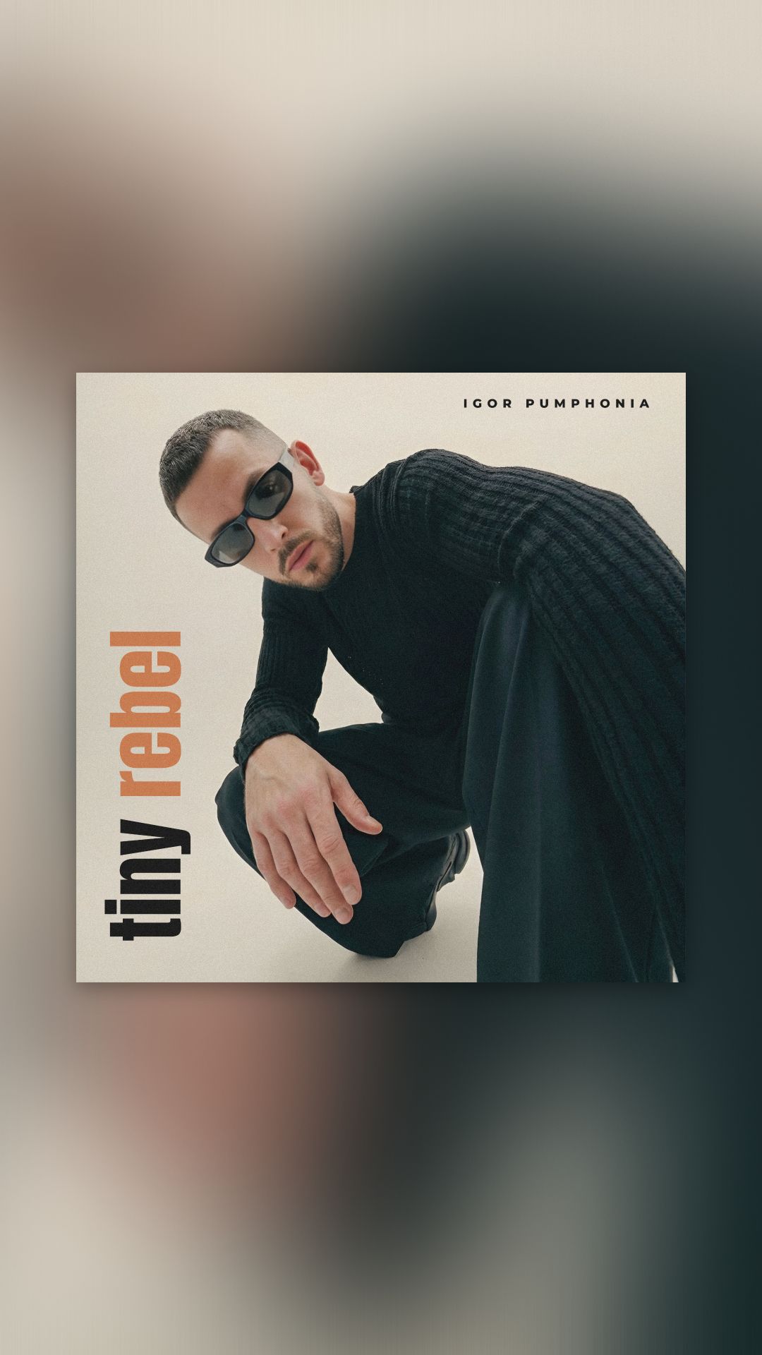 Igor Pumphonia - Tiny Rebel (Плейлист «ГРОМЧЕ: Электроника» в Звуке)