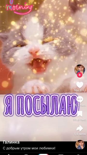 привет привет я посылаю тебе привет❤️❤️❤️❤️