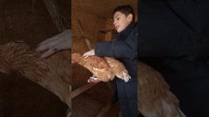 выживание в бане 2 дня тренировка| сериал ОПЕРАТОРЫ 3 серия ФИНАЛ