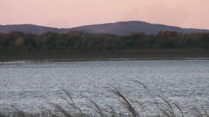 ГРАНИЦА 2-я  ГЛАВА