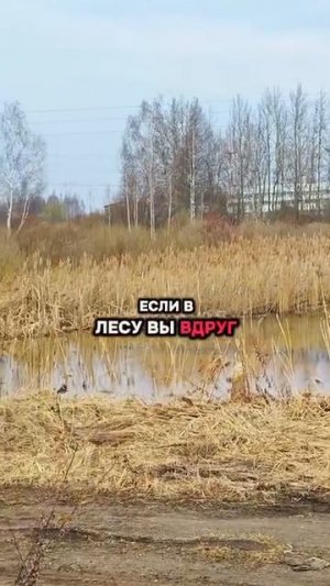 Важная информация