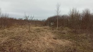 Сезон 2026 - открыт!!!