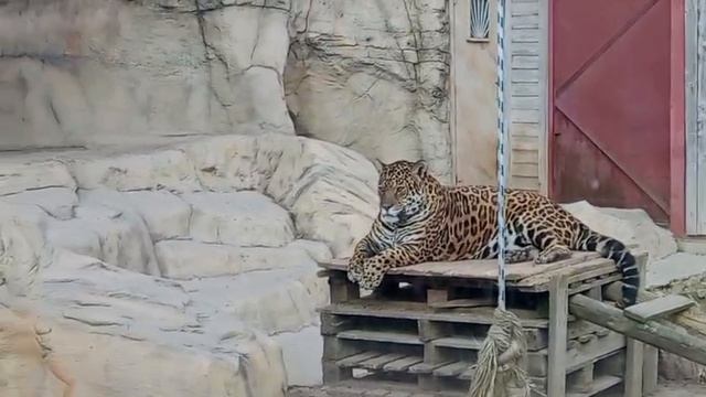 VLLL7614_Видео от Ивана 10.04.2026