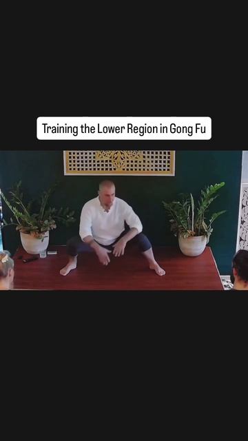 Дамо Митчел - работа над Куа и Дан, Бали 2025