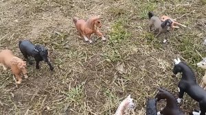 2 серия сериала "Дикий табун"