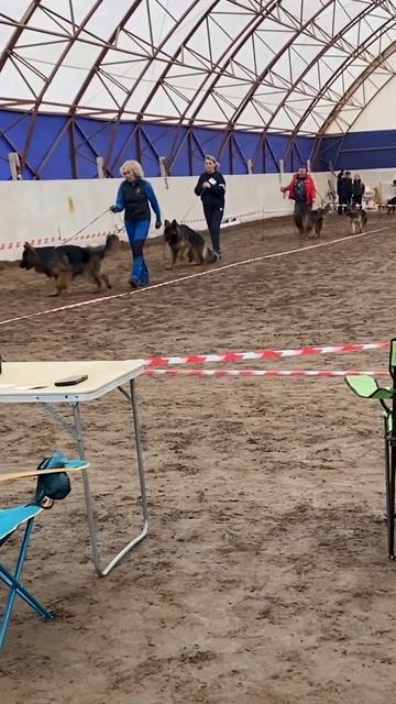 Клип @lapa35vologda