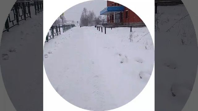 10 апреля зима продолжается видео с моего канала в Max.