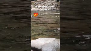 Старинные друзья.!