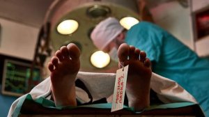 Квест перформанс Мясная лавка 2