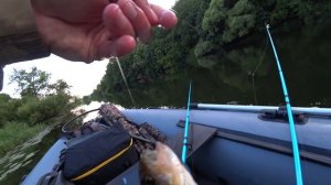 РЫБАЧУ И НОЧУЮ В ЛОДКЕ,НА ДИКОЙ РЕКЕ!!!