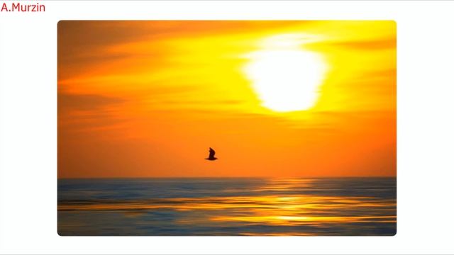 Amure - Voyage (N.S.E.W.)