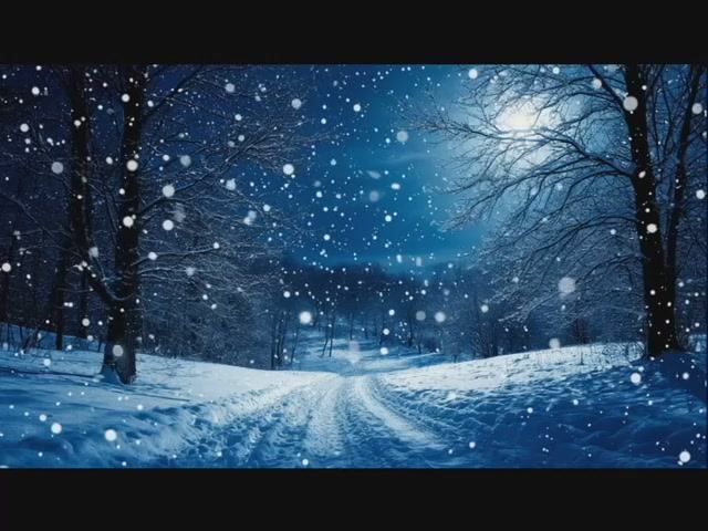 The Wizard's Snowfall Night