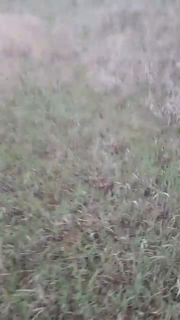 Землянка на Севере!