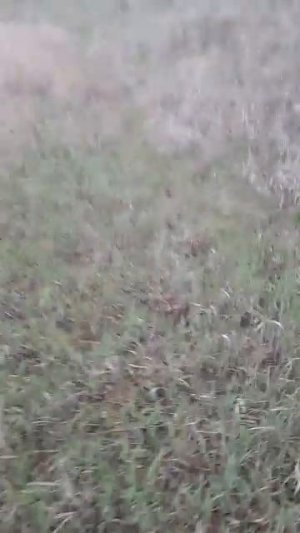 Землянка на Севере!