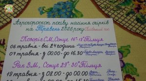 Май 2026: Самые Лучшие Дни для Посева Семян Огурцов?!