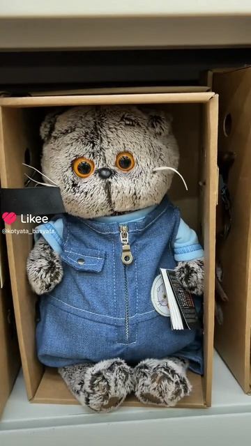 😺😺😺Какого Басика выберешь ты? 😺😺😺