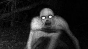 новая школа 5 серия подвал